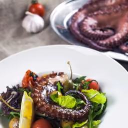 Insalata di polpo con rucola